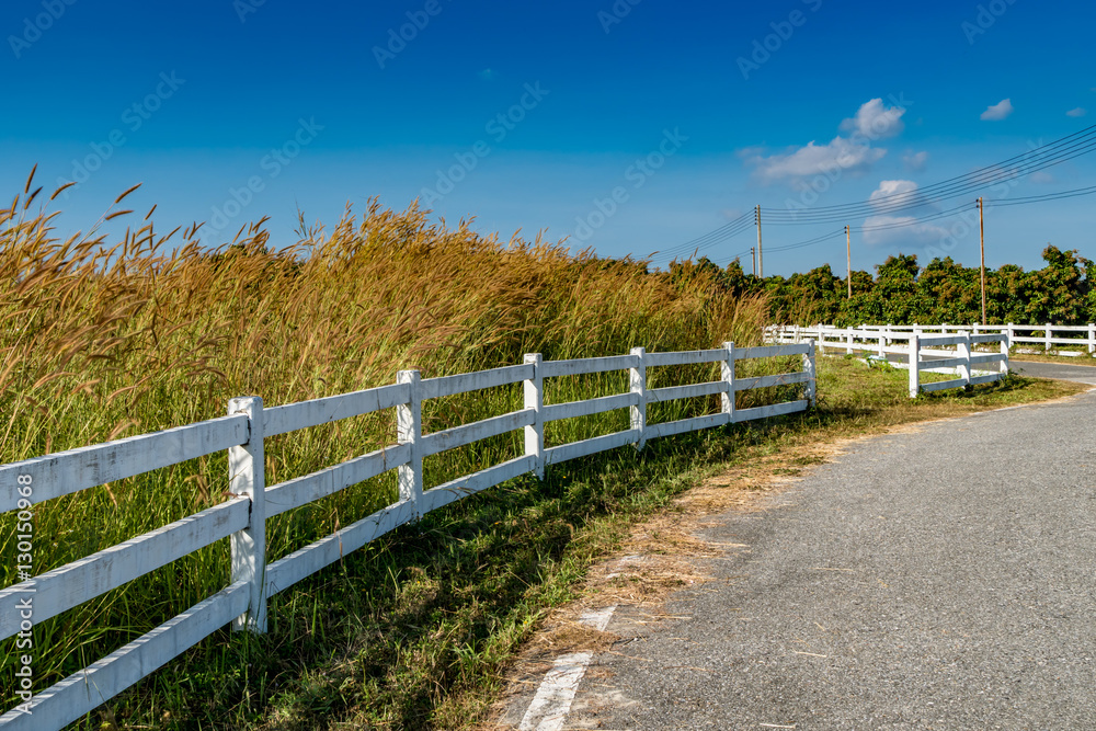Asphalt road with white fence Asphalt road with white fence
