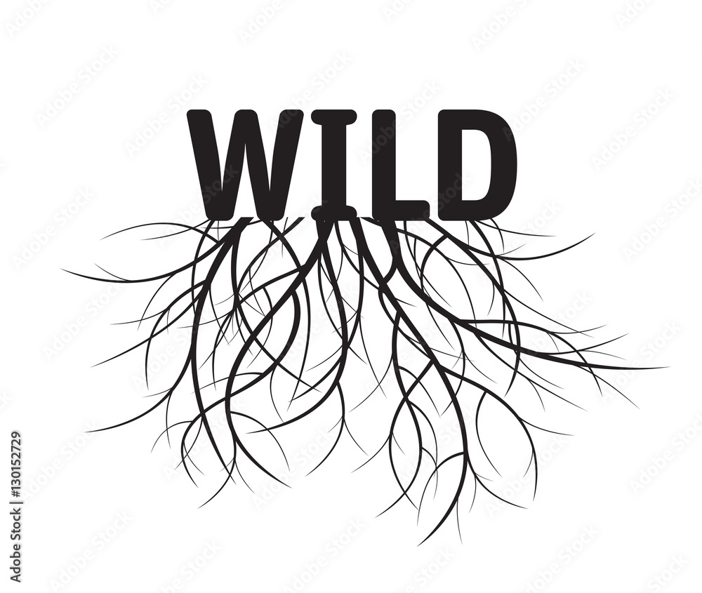 Fototapeta premium Wild and Roots. Vector Illustration.