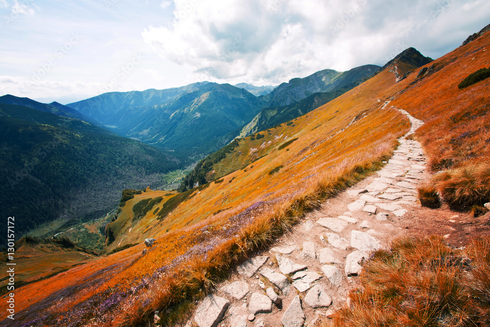 Fototapeta premium Fantasy and colorfull nature landscape. Carpathia.