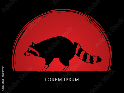 Raccoon designed on sunset background graphic vector.