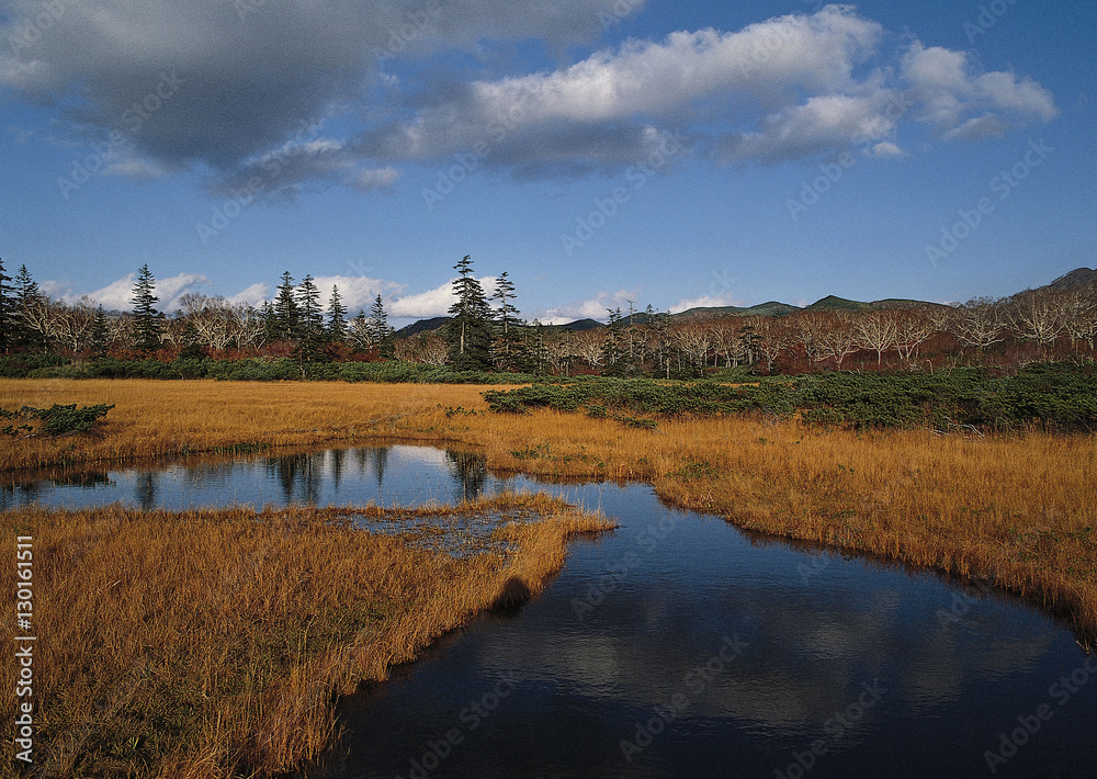 Fototapeta premium Lake