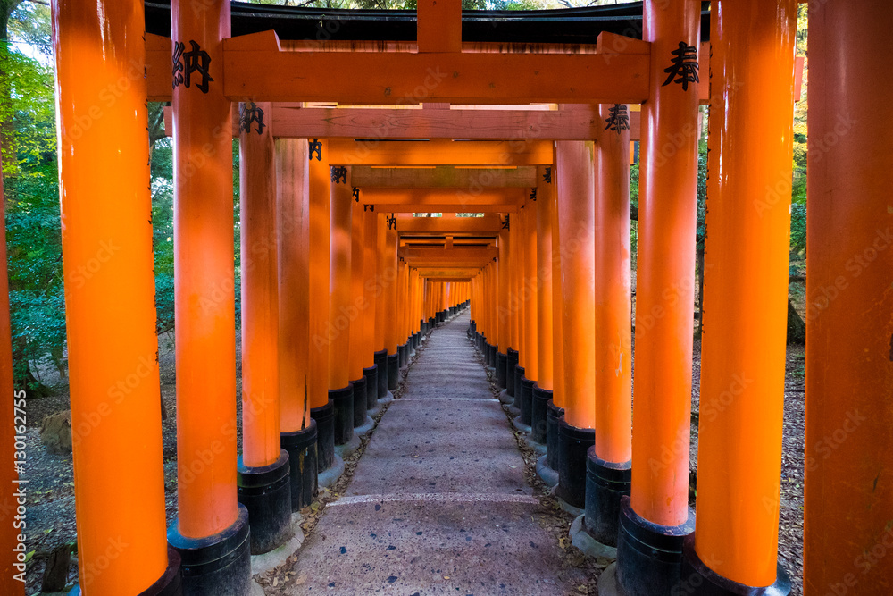 Travel in Kyoto, Amazing a thousand pillar at Fushimi Inari Shrine Travel in Kyoto, Amazing a thousand pillar at Fushimi Inari Shrine