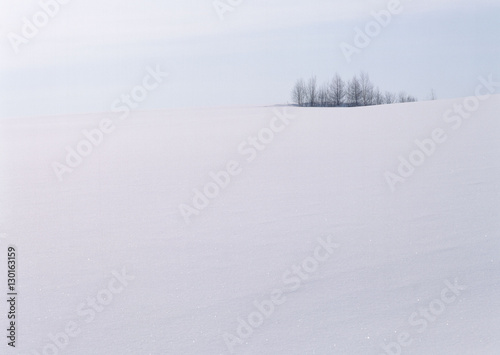 Snowy Field