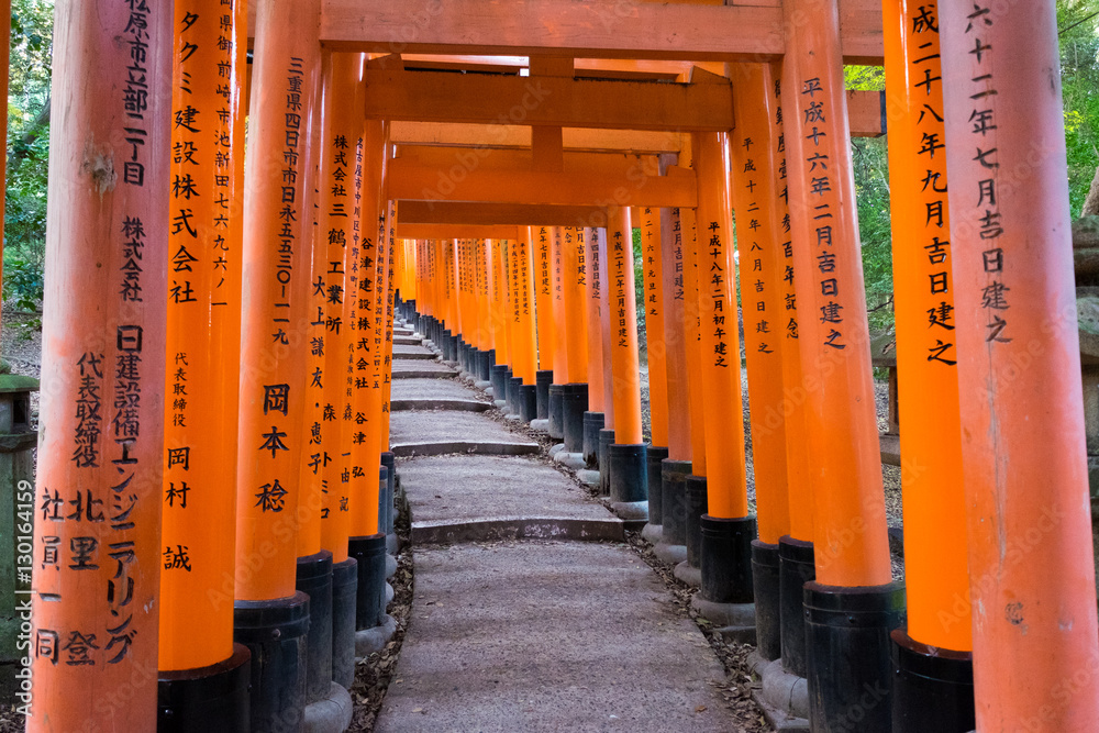 Travel in Kyoto, Amazing a thousand pillar at Fushimi Inari Shrine Travel in Kyoto, Amazing a thousand pillar at Fushimi Inari Shrine