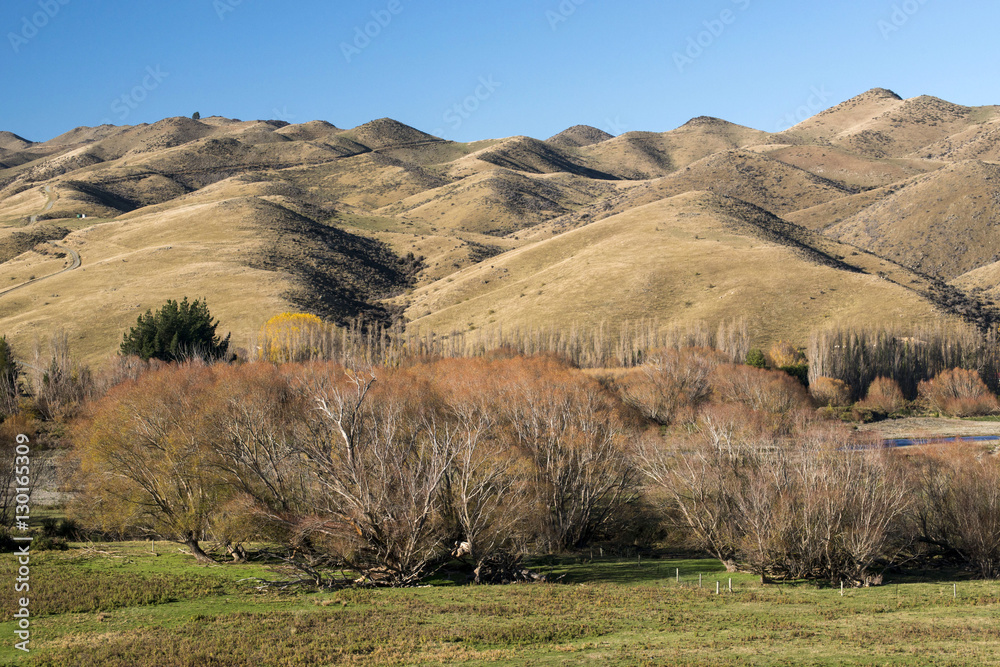 Fototapeta premium Sheep's Ranch and Hakataramea Valley South Island New Zealand