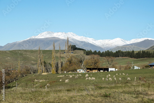 Sheep's Ranch and Hakataramea Valley South Island New Zealand photo