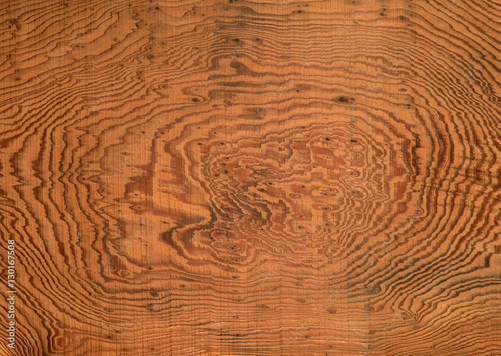Naklejka premium Yaku Cedar