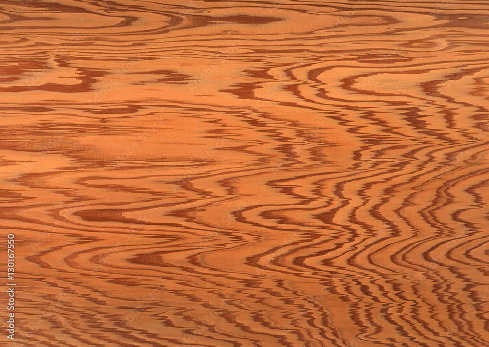 Kasuga Cedar