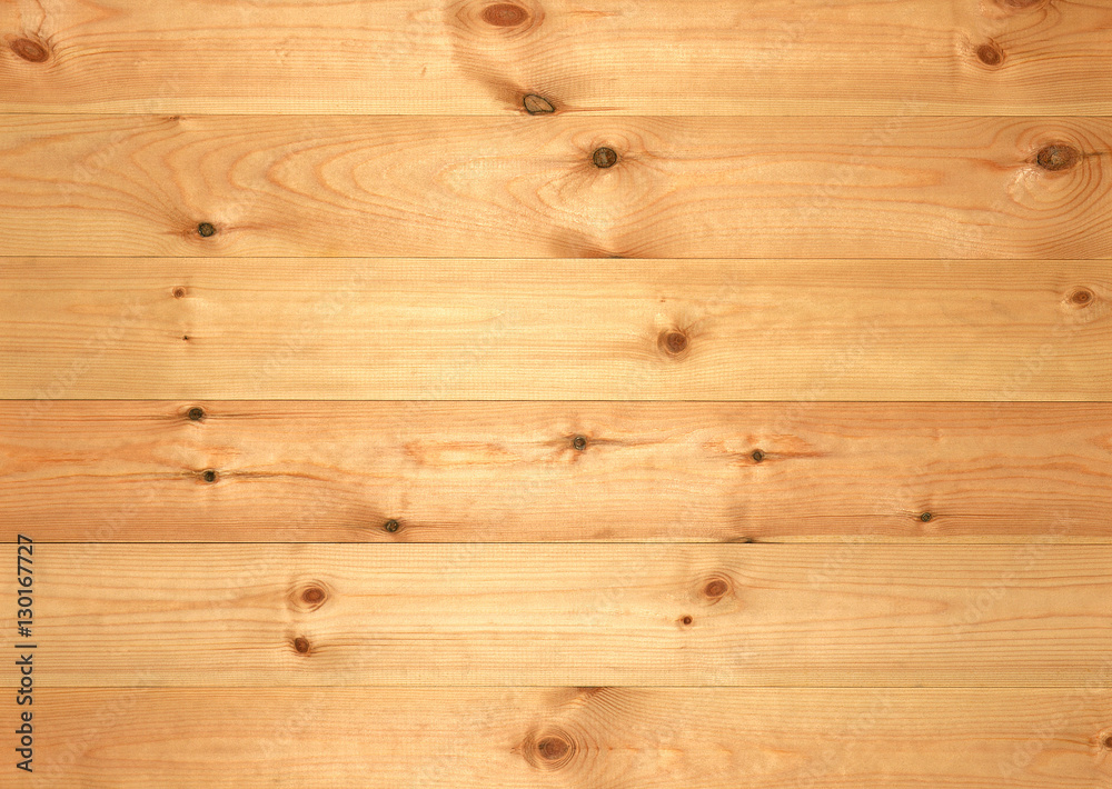 Fototapeta premium Pine