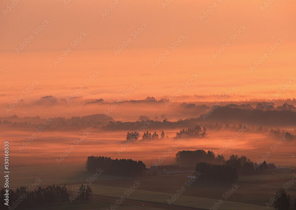 Morning Glow Morning Glow