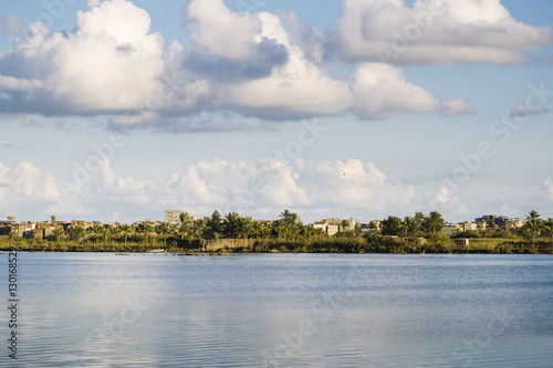 Beautiful nature of the coastline of the Nile river,Damietta,Egy