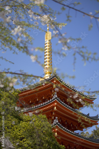 Pagoda at Tocho-ji Temple, Fukuoka, Kyushu, Japan photo