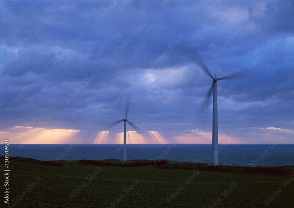 Obraz premium Wind Farm