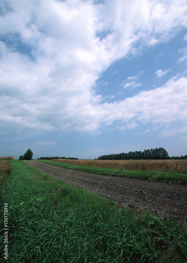 Field Field