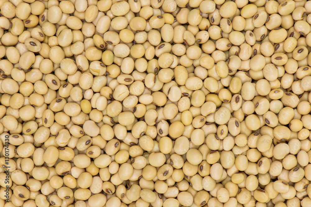 Soybean background, Soya Seed background and textured Soybean background, Soya Seed background and textured