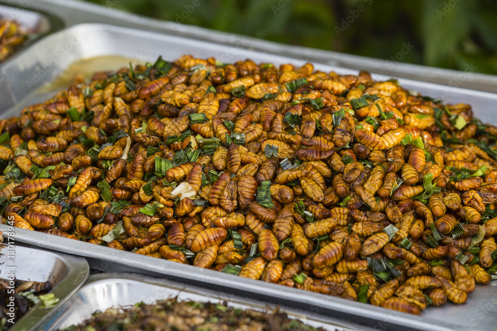 Fried silkworm in market, Thailand. Close up