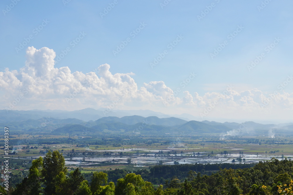 paddy field and mountain background in Thailand countryside