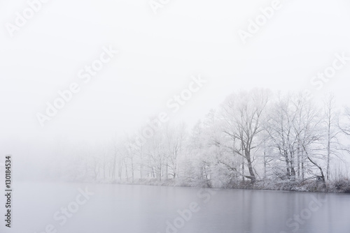 Winter fog on the bank of icy lake. Frozen trees.