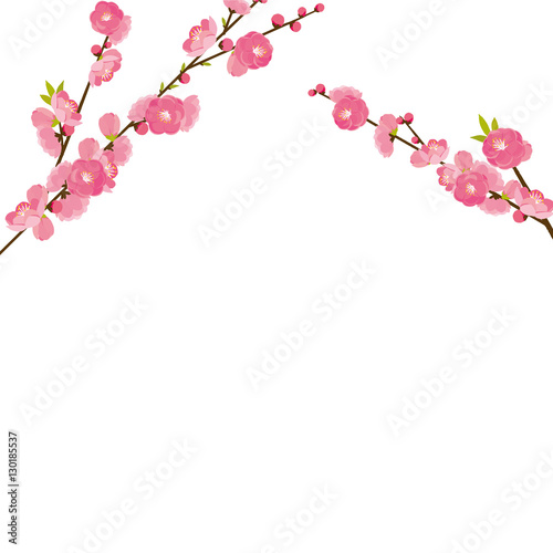 桃の花