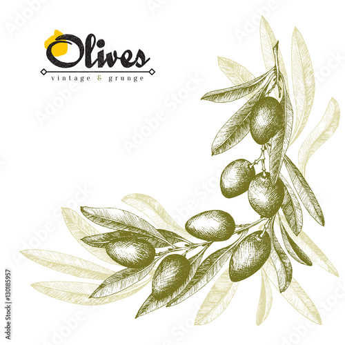 Olive branch angular frame, border background, olive color sketch vector isolated element hand drawn. Italian product.