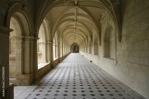 Cloister, Fontevraud Abbey, Fontevraud, Maine-et-Loire, France photo