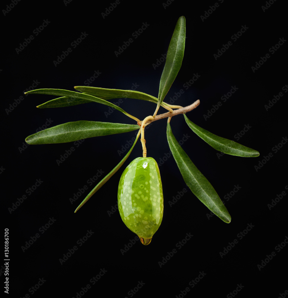 Green Olive with Leaves on Black Background Green Olive with Leaves on Black Background