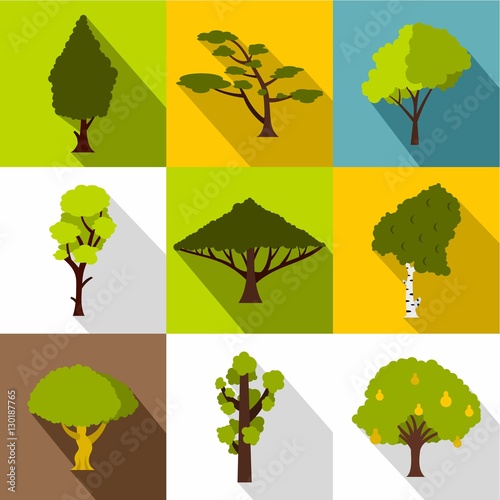 Arboreal plant icons set. Flat illustration of 9 arboreal plant vector icons for web
