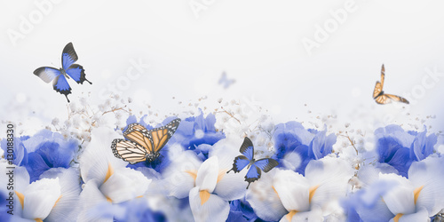 Canvas Print Amazing butterfly fairy of flowers, hydrangeas and iris.