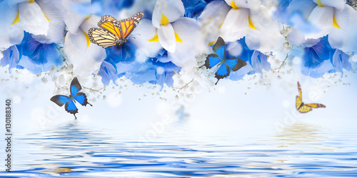 Amazing butterfly fairy of flowers, hydrangeas and iris.
