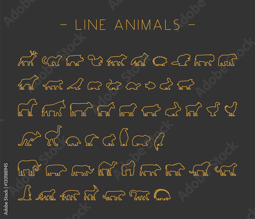Vector gold set of line silhouettes animals