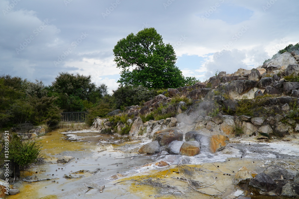 Rotorua_Neuseeland2 Rotorua_Neuseeland2