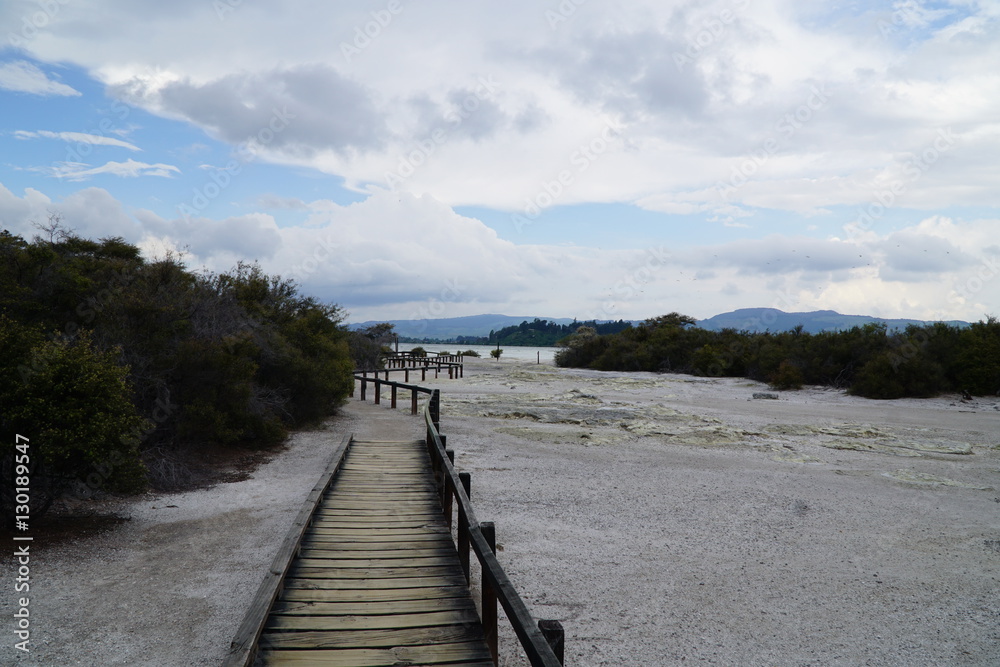 Fototapeta premium Rotorua_Sulphor_Neuseeland