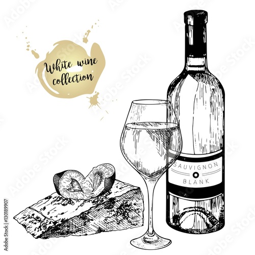 Vector set of white wine in engraved vintage style. Wine bottle, glass, plum and cheese slice. Isolated on white background.