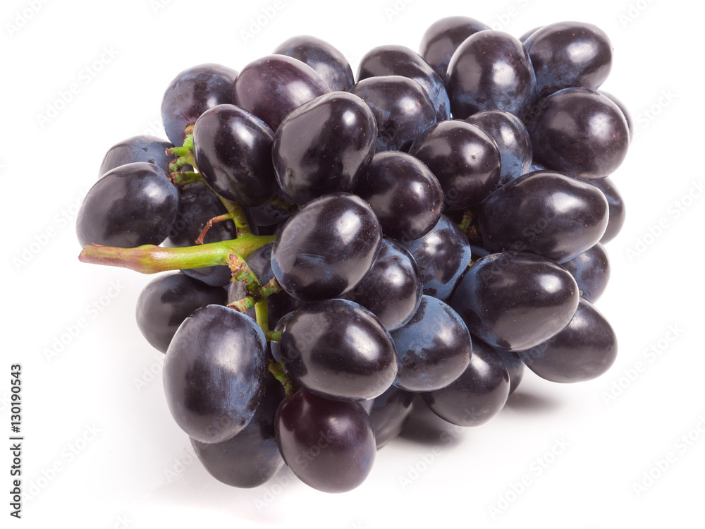 Bunch of blue grapes isolated on white background Bunch of blue grapes isolated on white background