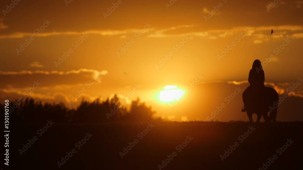 Woman riding horse on field during sunset Woman riding horse on field during sunset
