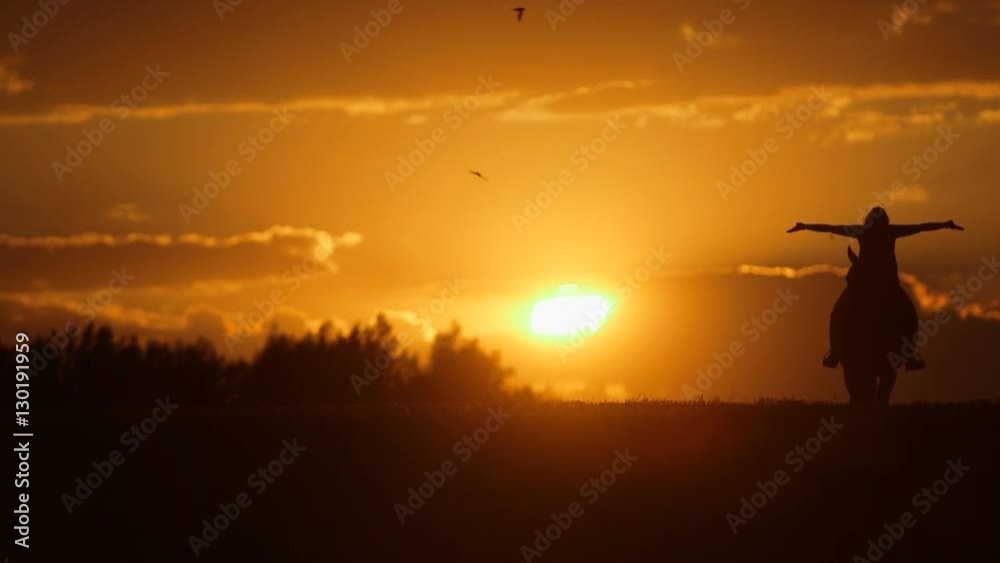 Woman riding horse on field during sunset Woman riding horse on field during sunset