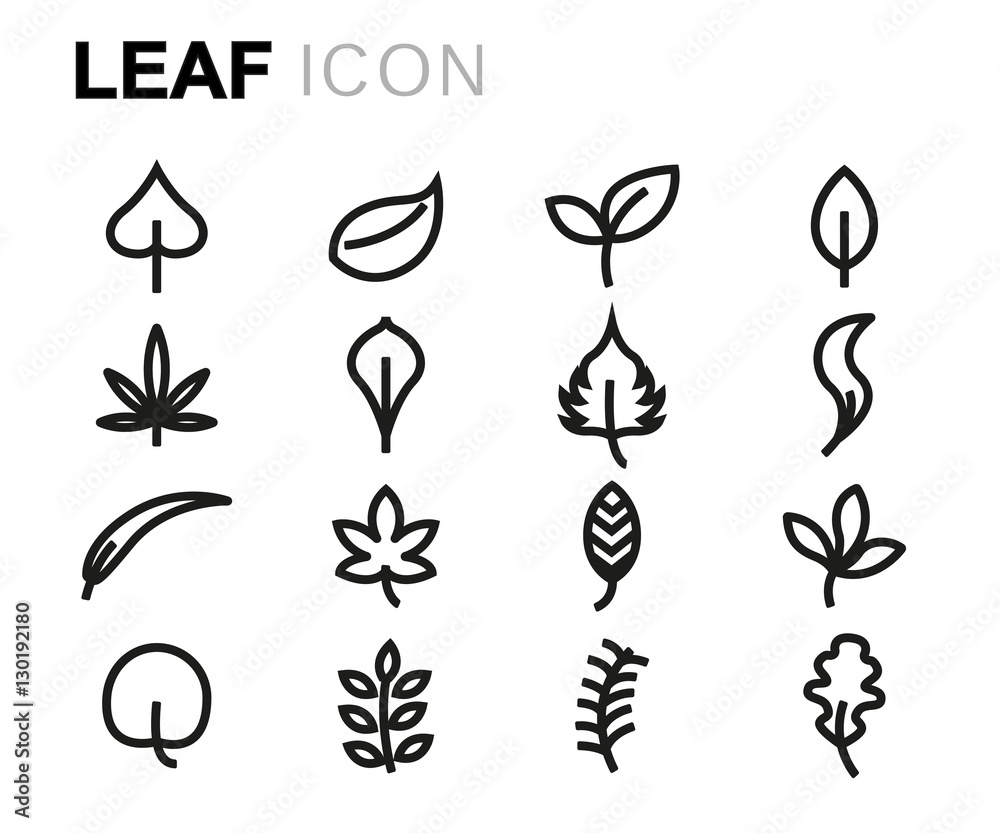 Vector line leaf icons set Vector line leaf icons set