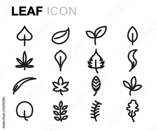 Vector line leaf icons set