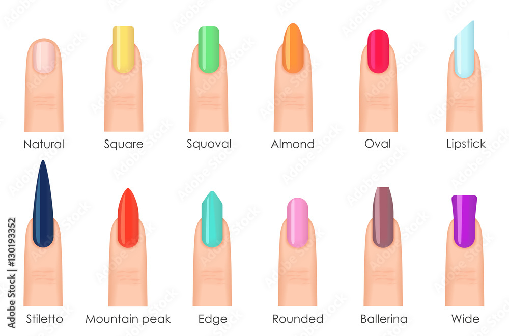 Different fashion nail shapes. Set kinds of nails. Fashion nails type  trends. Beauty spa salon woman fingernails set. Stock Vector | Adobe Stock