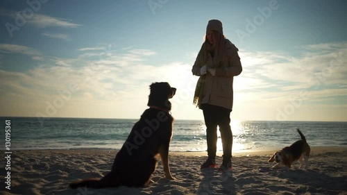 A young woman training a dog to sit and give paw on the beach slow motion