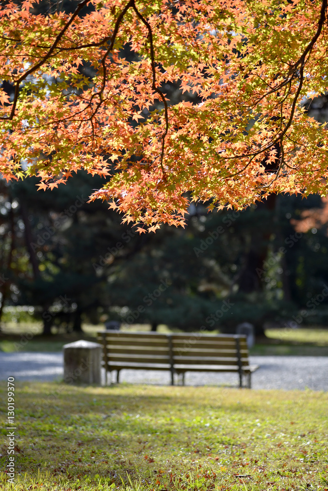 公園の秋 公園の秋