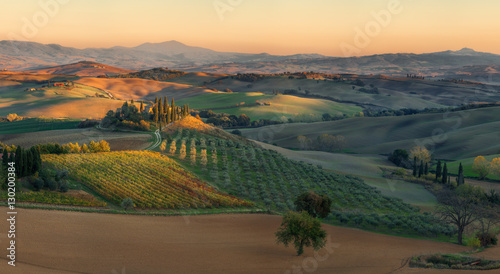 Italy. Tuscany. Evening light in the Val d'Orcia