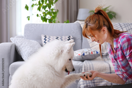 Girl having fun with Samoye...