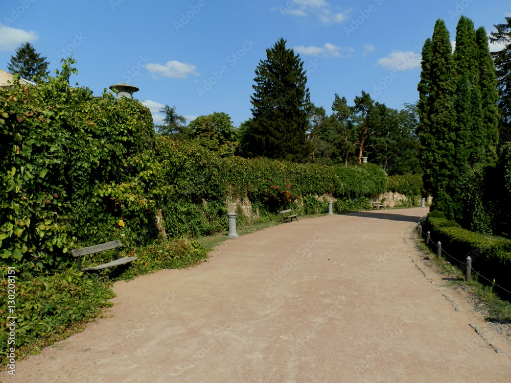 Park in Uman in the summer