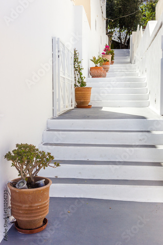 Fototapeta Naklejka Na Ścianę i Meble -  Traditional white stair with plants in pots in Santorini island in Greece.