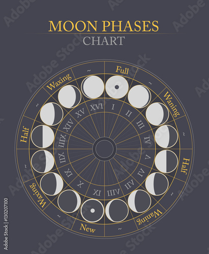 moon phases flat vector background