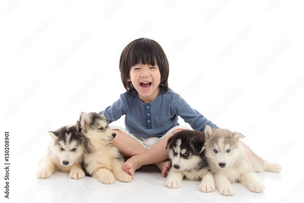 asian boy sitting with siberian husky puppies on white backgroun asian boy sitting with siberian husky puppies on white backgroun