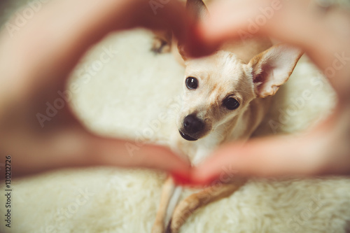 Fototapeta Naklejka Na Ścianę i Meble -  True love