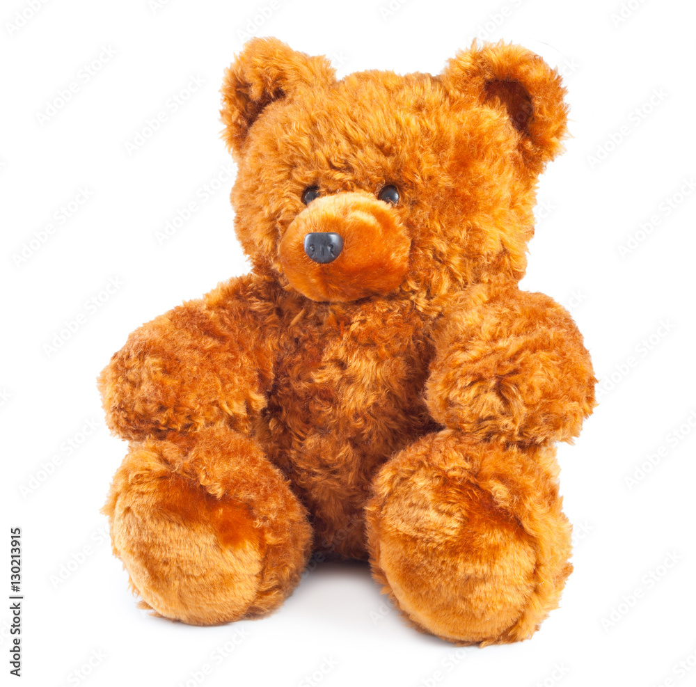 teddy bear isolated on white background