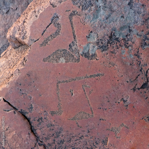 Ancient petroglyphs (rock engravings of 4th-2nd millennia BC) that depict duck and swan carved on granite Onega Lake shore. Besov Nos cape, Karelia Republic, Russia.
 photo